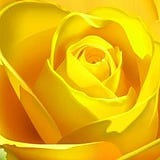 Sunil Arora