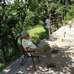 Rajive Jain