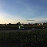 ギアボーイ