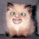 philpill