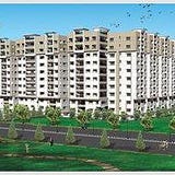 Modi Builders