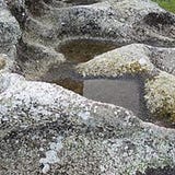 Maria Virginia Almeida Aguiar