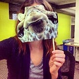 jess