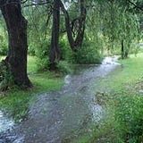 Sally Haskin Thunberg