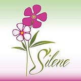 Silene Iliana González