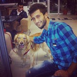 Ümit Özel
