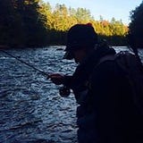 Alex MacDonald