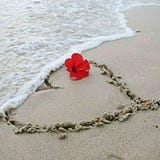 Hoda M. Ibrahim