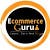 ECOMMERCE GURU