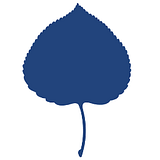 Aspen Institute