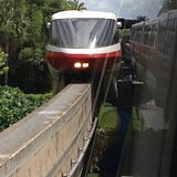 DisneyPicsChris