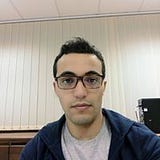 Anis Ellouzi