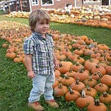 Shane