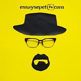Essay Sepeti