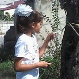 Melek Uçucu