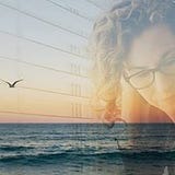 Amy Drucker