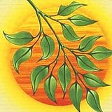 David Buddha-Hargarten