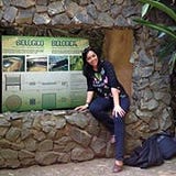 Anayde C M Souza