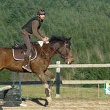 Robert Hoogendam