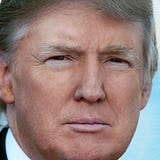 Donald J. Trump