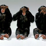 Three-Monkeys-Guy