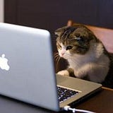 hellodj