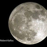 Robert Kalfus