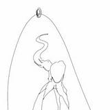 Eduardo Henrique Machado Machado