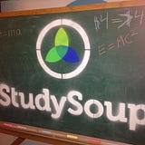 StudySoup