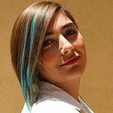 Neemat A. Sleiman
