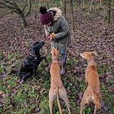 Helen Redfern