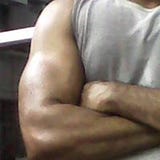 Gangeticus Murali