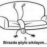 Ünlü bir üşenir