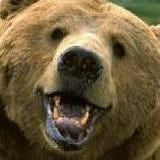 Rob Bear