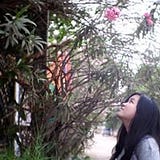 Parinda Hansana