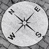 Michelle Nelson Grasso