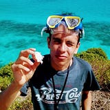 Daniel David