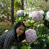 Vo Thi Truc Linh