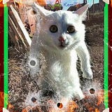владимир Губанов