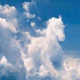 freethemustangs
