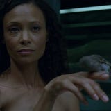 I love Rectify