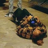 Rafael Gutierrez