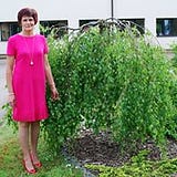 Alita Ex Kreipāne