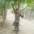 new bangla danc videos 2018