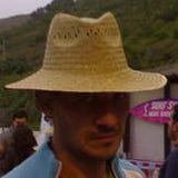 Arara Moderna