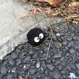 ぴーやま
