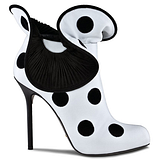 The Daily Shoe