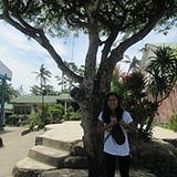 Aubrey Bea Palmes