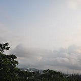 沈淼奇
