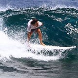Tyler J Wasden